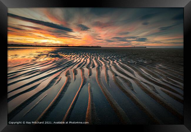 Sunset On Sandhaven Beach Framed Print by Ray Pritchard