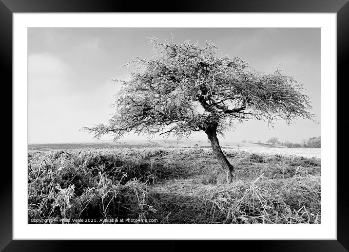 Winter Morning Frost in Monochrome. Framed Mounted Print by Philip Veale