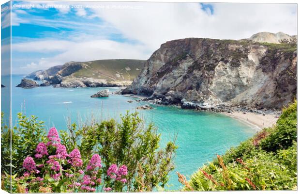 St Agnes Coast Canvas Print by Terri Waters