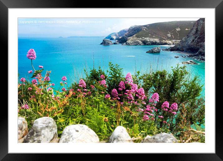 St Agnes Valerian Framed Mounted Print by Terri Waters
