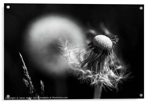 Wildflowers Acrylic by Jason Atack