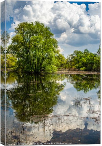 Plant tree Canvas Print by roman vasilev