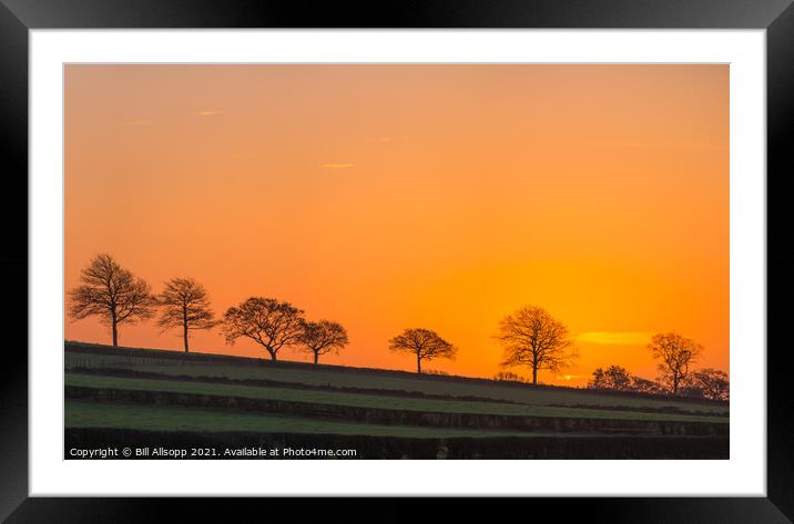 Sunrise in Charnwood. Framed Mounted Print by Bill Allsopp