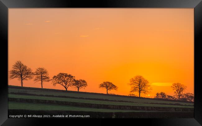Sunrise in Charnwood. Framed Print by Bill Allsopp