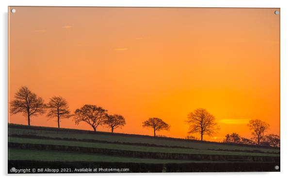 Sunrise in Charnwood. Acrylic by Bill Allsopp