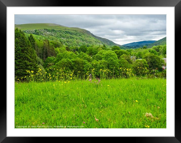 The Mountains of Brecon Framed Mounted Print by Jane Metters