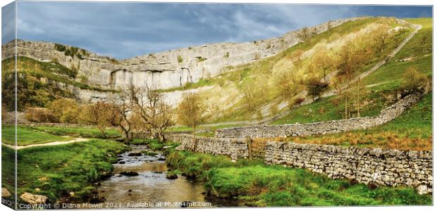  Malham Cove and beck Panoramic Canvas Print by Diana Mower
