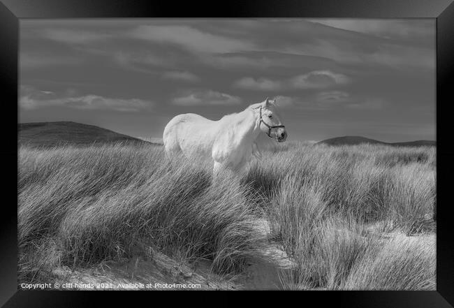 Luskentyre white horse. Framed Print by Scotland's Scenery