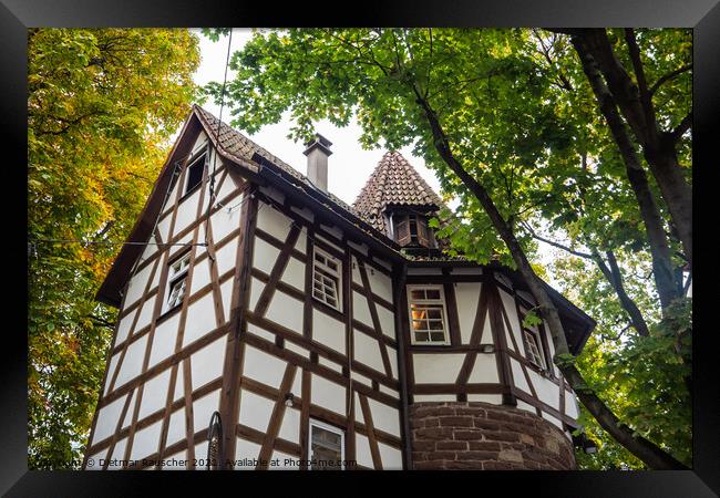 Schellenturm, Tower of the Old Fortification of the City of Stut Framed Print by Dietmar Rauscher