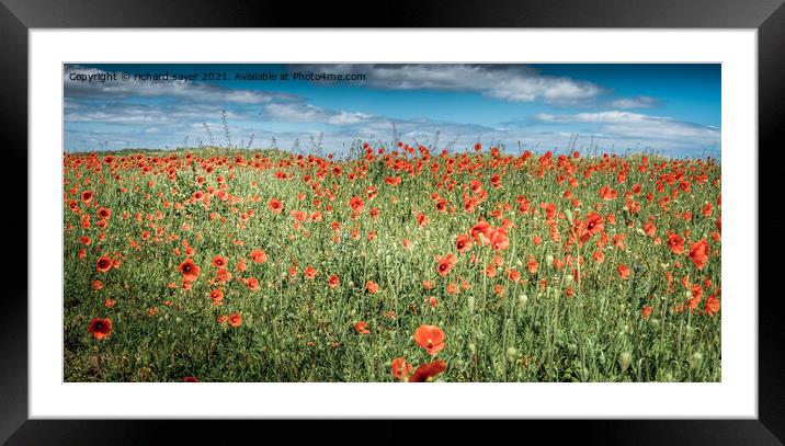 In the midst of a fiery sea Framed Mounted Print by richard sayer