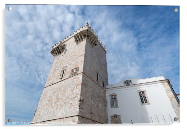 Estremoz castle in Alentejo, Portugal Acrylic by Luis Pina