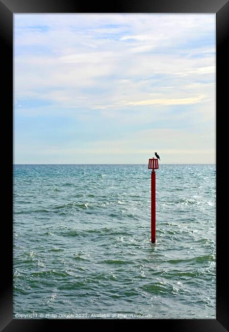 Birds Eye View Framed Print by Philip Gough