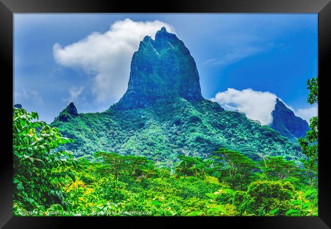 Colorful Mount Tohivea Highest Mountain Moorea Tahiti Framed Print by William Perry