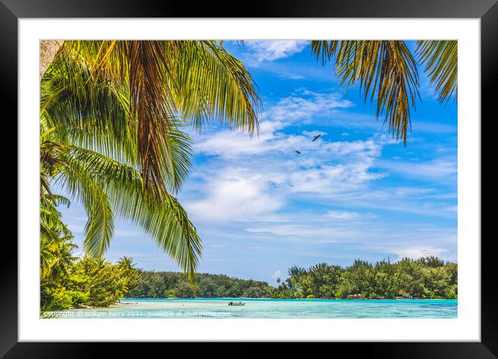 Colorful Beach Palm Trees Islands Boat Blue Water Moorea Tahiti Framed Mounted Print by William Perry