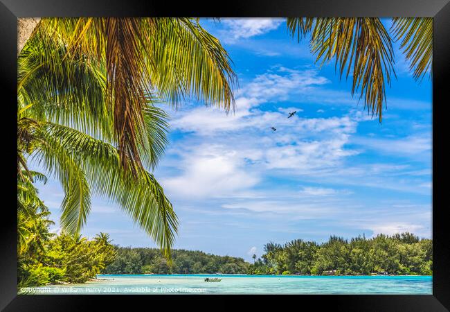 Colorful Beach Palm Trees Islands Boat Blue Water Moorea Tahiti Framed Print by William Perry