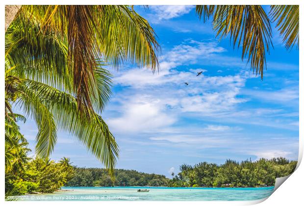 Colorful Beach Palm Trees Islands Boat Blue Water Moorea Tahiti Print by William Perry