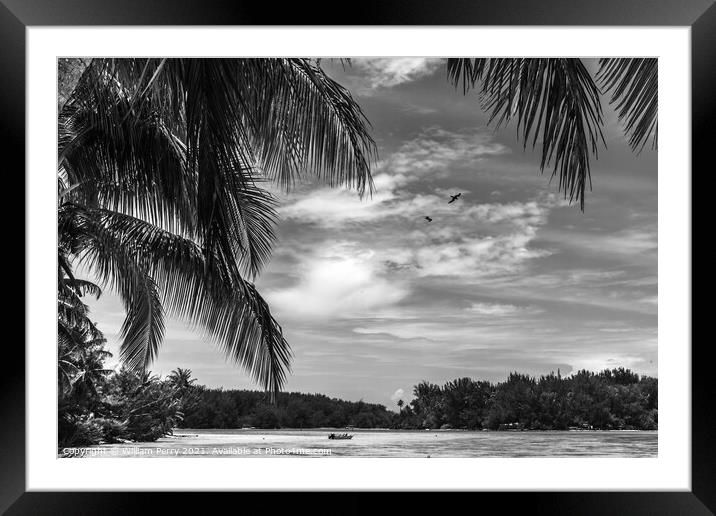Black White Palm Trees Islands Boat Blue Water Moorea Tahiti Framed Mounted Print by William Perry