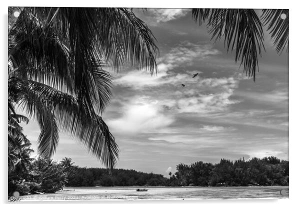 Black White Palm Trees Islands Boat Blue Water Moorea Tahiti Acrylic by William Perry