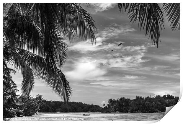 Black White Palm Trees Islands Boat Blue Water Moorea Tahiti Print by William Perry