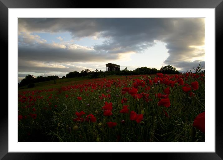 penshaw monument poppy field. Framed Mounted Print by Northeast Images