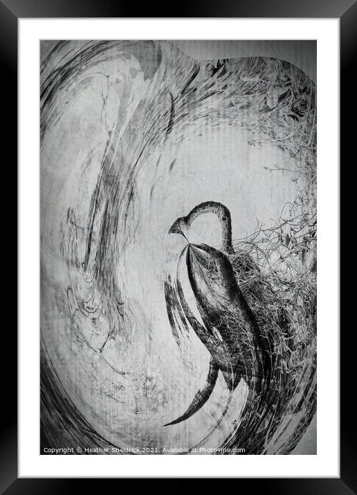The Whirly Bird Framed Mounted Print by Heather Sheldrick