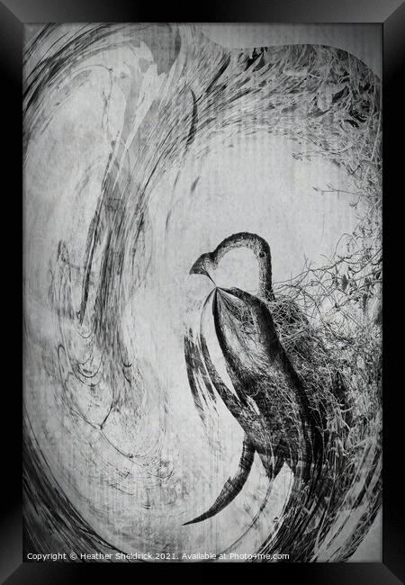 The Whirly Bird Framed Print by Heather Sheldrick