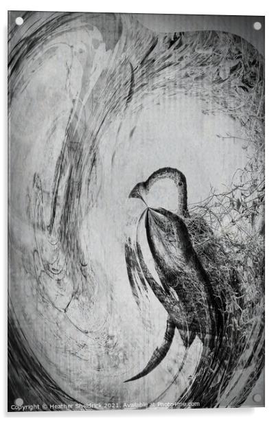 The Whirly Bird Acrylic by Heather Sheldrick