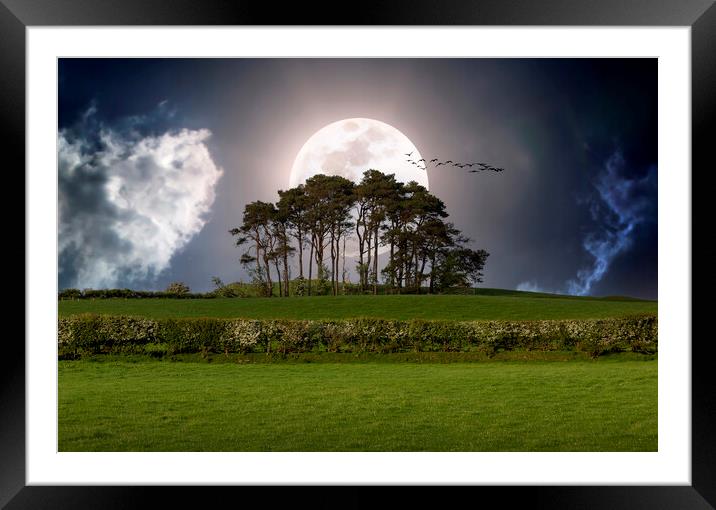 A line of trees in a field Framed Mounted Print by Leighton Collins