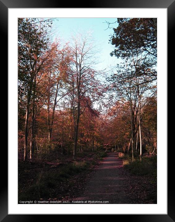 Autumn Woods Framed Mounted Print by Heather Goodwin