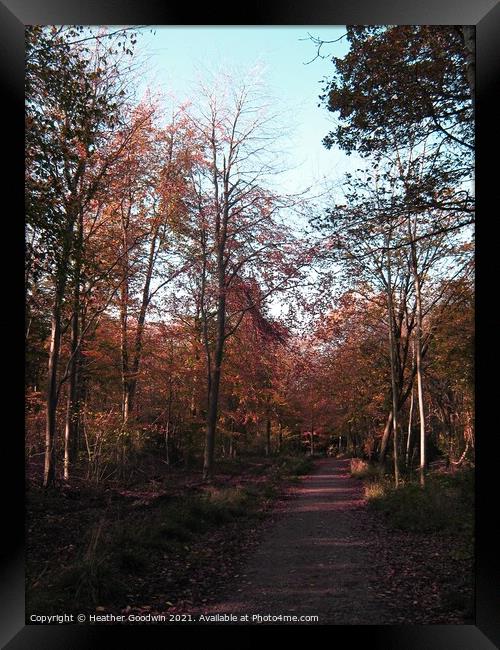 Autumn Woods Framed Print by Heather Goodwin