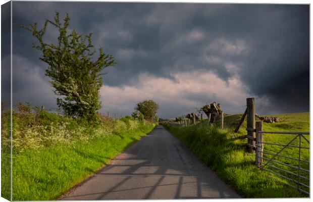 A Welsh country road Canvas Print by Leighton Collins