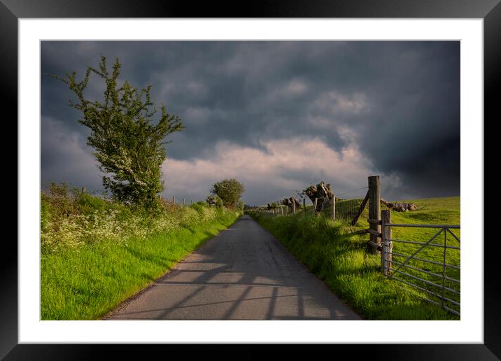 A Welsh country road Framed Mounted Print by Leighton Collins