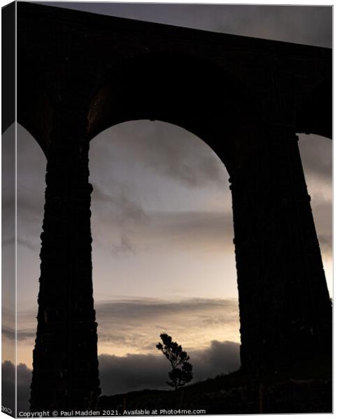 Tree through the arches Canvas Print by Paul Madden