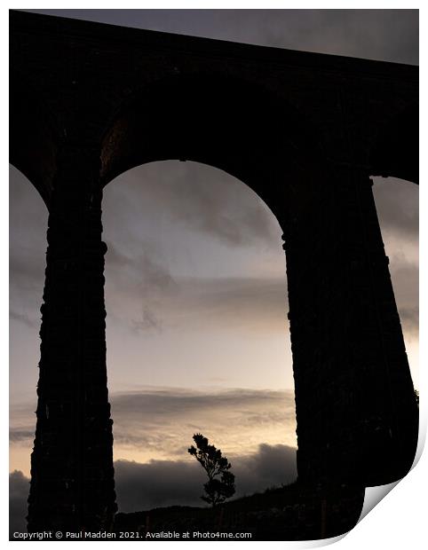 Tree through the arches Print by Paul Madden