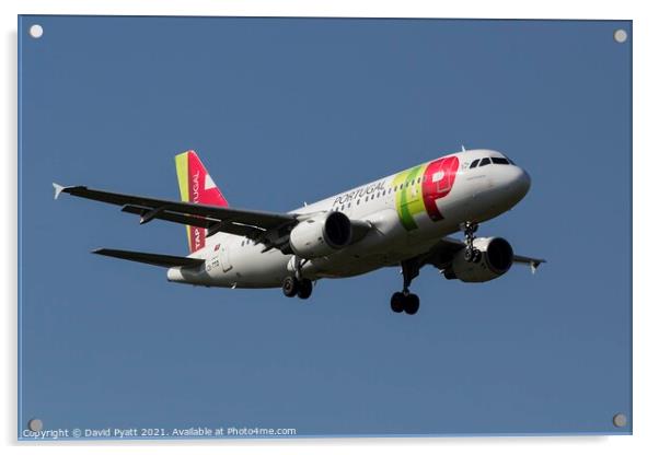 TAP Air Portugal Airbus A319   Acrylic by David Pyatt