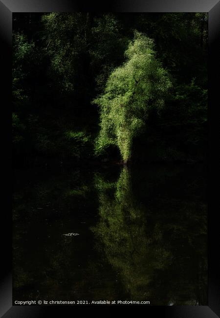 The Ethereal Tree Framed Print by liz christensen