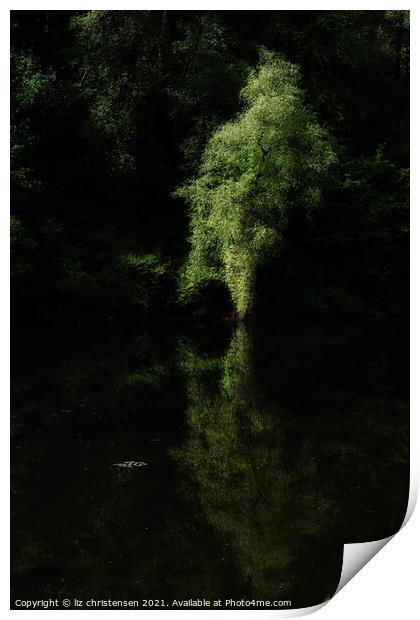 The Ethereal Tree Print by liz christensen