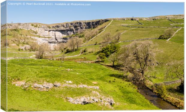 Malham Beck and Malham Cove in Yorkshire Dales Canvas Print by Pearl Bucknall