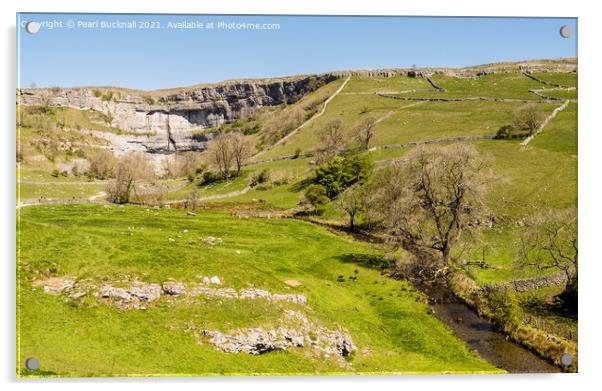 Malham Beck and Malham Cove in Yorkshire Dales Acrylic by Pearl Bucknall