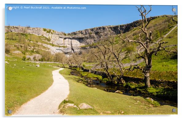 The Pennine Way to Malham Cove Yorkshire Dales Acrylic by Pearl Bucknall