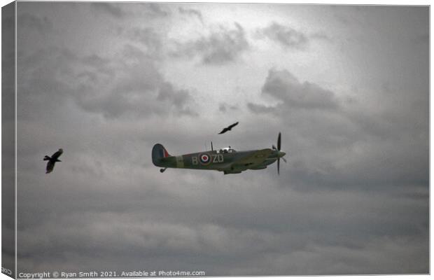 Spitfire on a cloudy day with birds flying alongside Canvas Print by Ryan Smith
