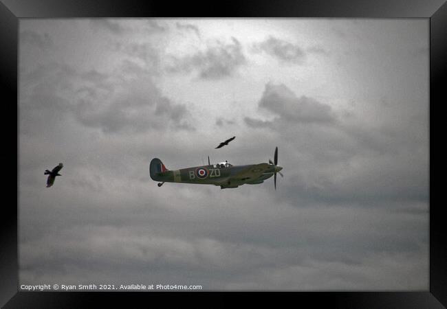 Spitfire on a cloudy day with birds flying alongside Framed Print by Ryan Smith