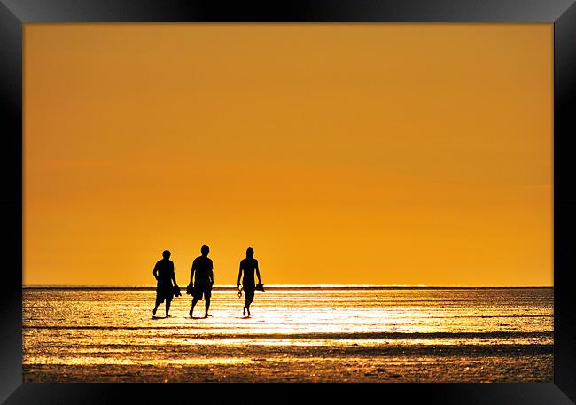 The Beach Boys Framed Print by Jason Connolly