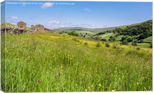 Swaledale Flower Meadow Yorkshire Dales Summer Canvas Print by Pearl Bucknall