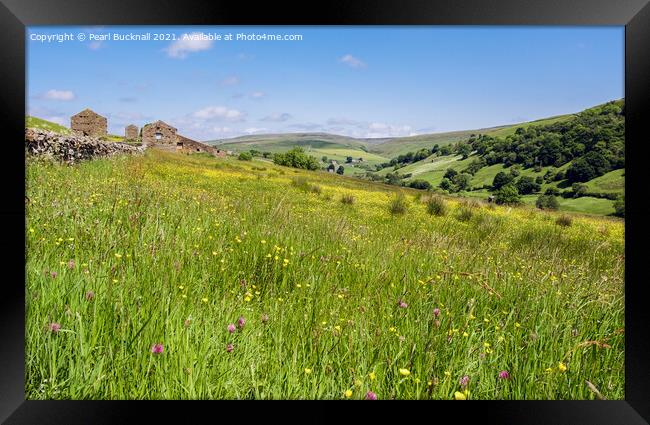Swaledale Flower Meadow Yorkshire Dales Summer Framed Print by Pearl Bucknall