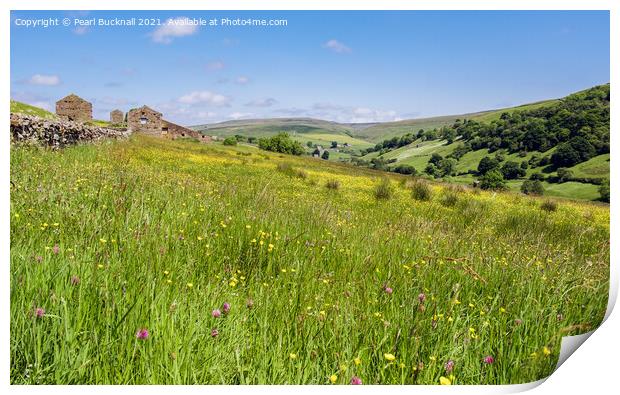 Swaledale Flower Meadow Yorkshire Dales Summer Print by Pearl Bucknall