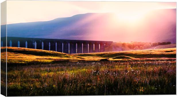 ribblehead sunset Canvas Print by Kevin Elias
