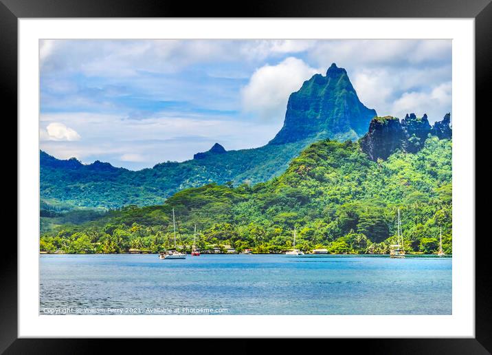 Colorful Cook's Bay Sailboats Mount Tohivea Moorea Tahiti Framed Mounted Print by William Perry