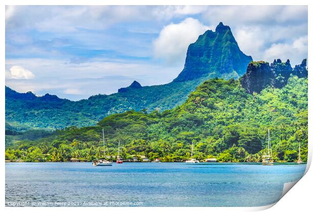Colorful Cook's Bay Sailboats Mount Tohivea Moorea Tahiti Print by William Perry