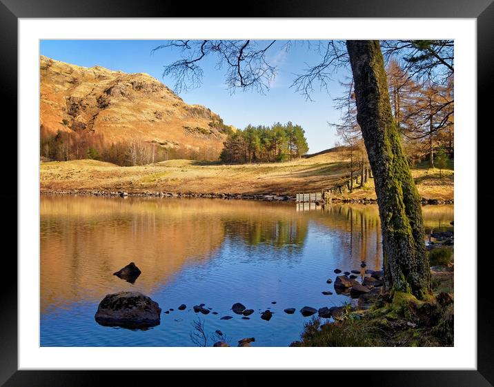 The Banks of Blea Tarn     Framed Mounted Print by Darren Galpin